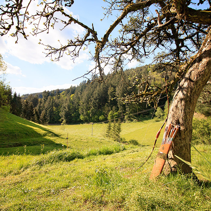 Pfeil und Bogen am Baum Schwarzwald